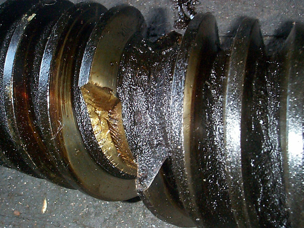 Broken worm gear in working elevator